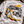 Audi Sport Quattro Group B Shirt | Special Stage Serial 001