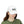 Motopparel Embroidered Dad Cap